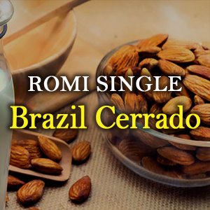 [로미커피] 싱글오리진_브라질 세하도 /200g /500g /1kg